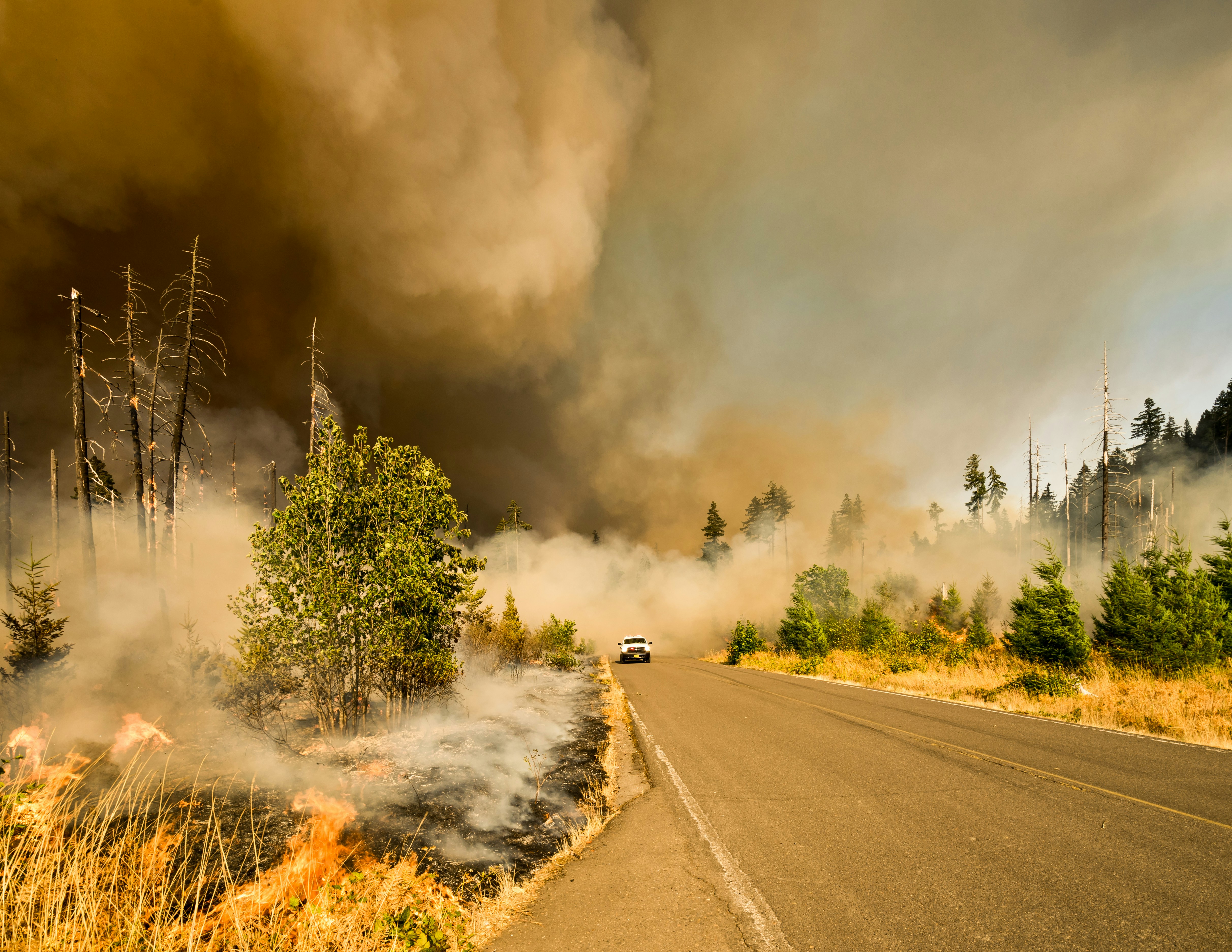 Wildfire mapping and common operating picture