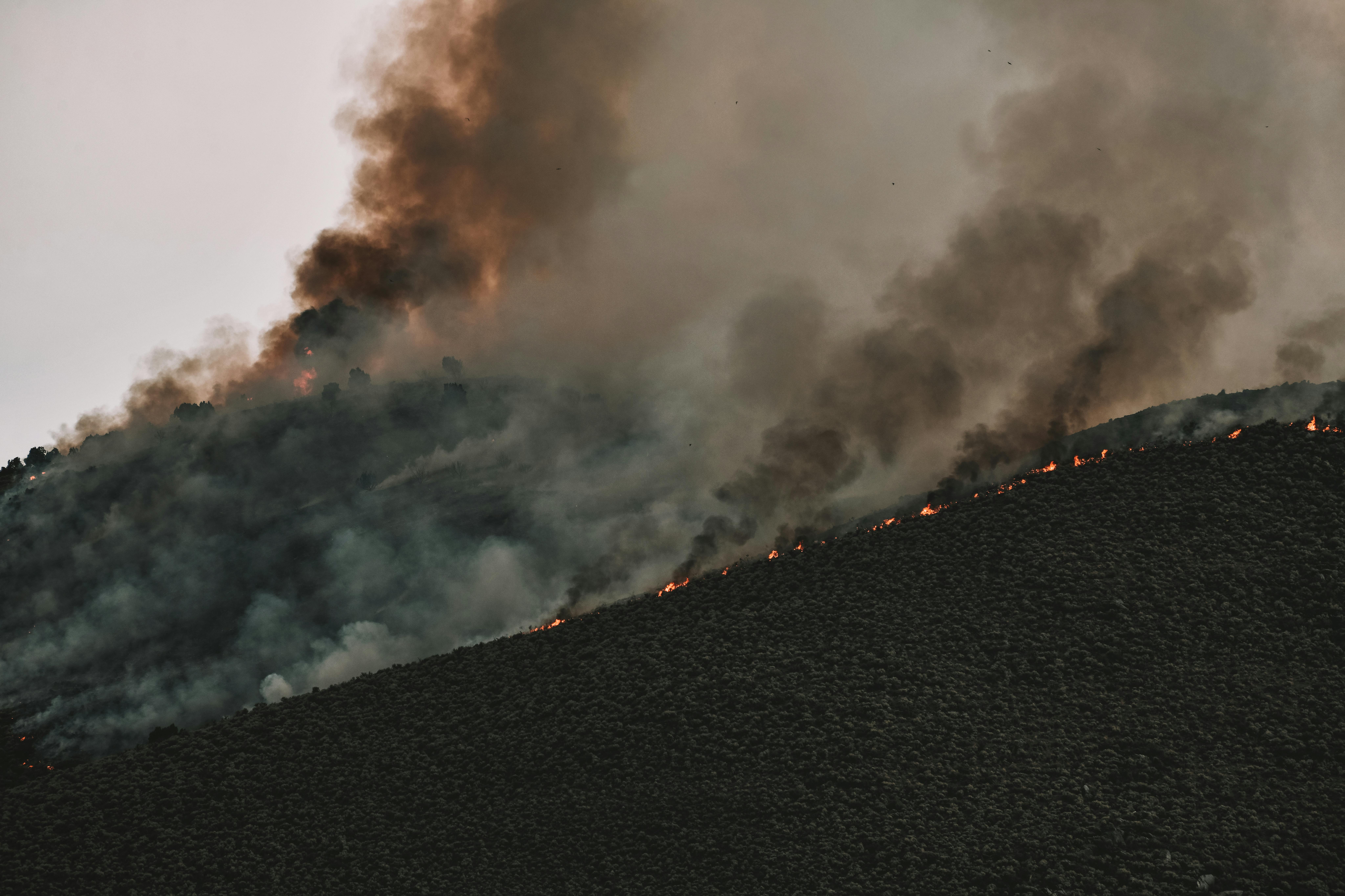 Wildfire spread simulation interface